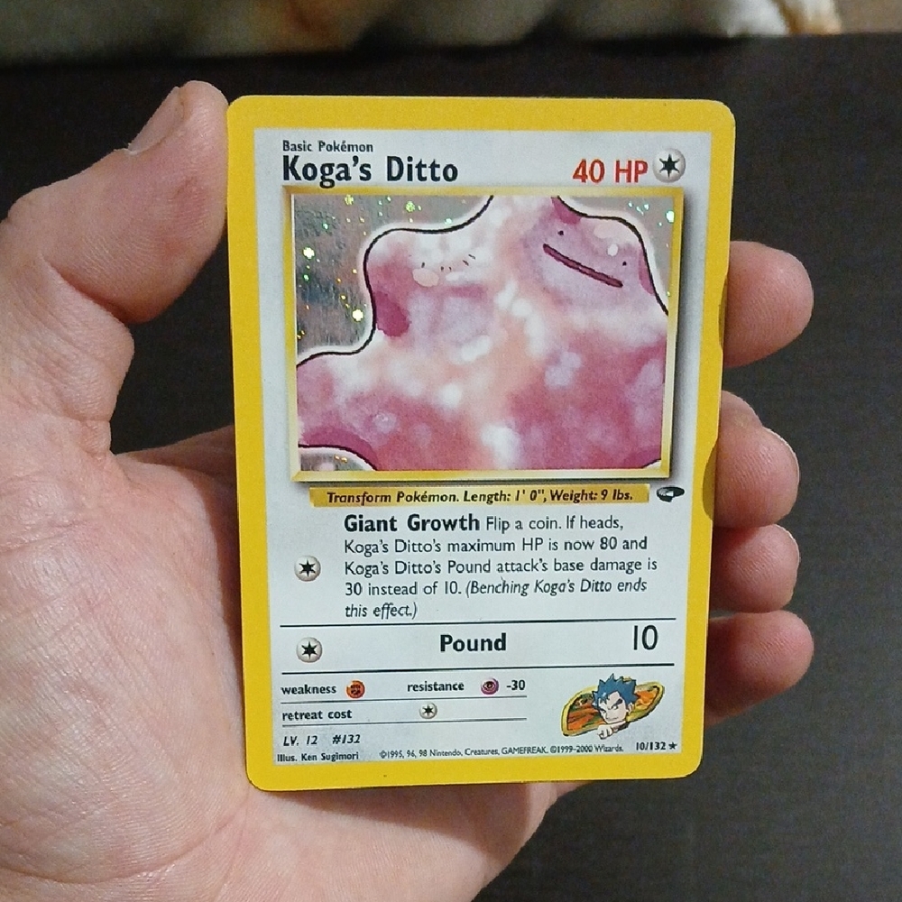 Koga's Ditto